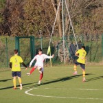 Nogomet 2 AL : Primorje - Zarja