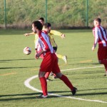 Nogomet 2. AL : Campanelle - Primorec