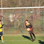 Nogomet 2 AL : Primorje - Zarja