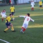 Nogomet 2 AL : Primorje - Zarja