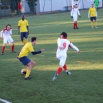 Nogomet 2 AL : Primorje - Zarja