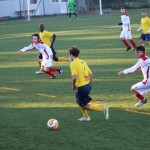 Nogomet 2 AL : Primorje - Zarja