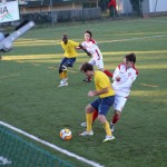 Nogomet 2 AL : Primorje - Zarja