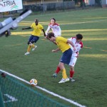 Nogomet 2 AL : Primorje - Zarja