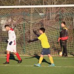 Nogomet 2 AL : Primorje - Zarja