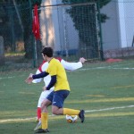 Nogomet 2 AL : Primorje - Zarja