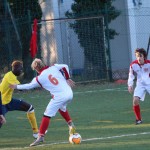 Nogomet 2 AL : Primorje - Zarja