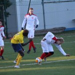 Nogomet 2 AL : Primorje - Zarja