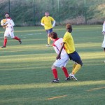 Nogomet 2 AL : Primorje - Zarja