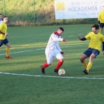 Nogomet 2 AL : Primorje - Zarja