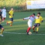 Nogomet 2 AL : Primorje - Zarja