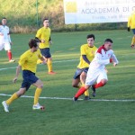 Nogomet 2 AL : Primorje - Zarja