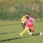 Nogomet 2. AL : Campanelle - Primorec