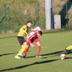 Nogomet 2. AL : Campanelle - Primorec