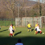 Nogomet 2 AL : Primorje - Zarja