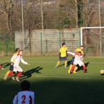 Nogomet 2 AL : Primorje - Zarja