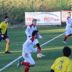 Nogomet 2 AL : Primorje - Zarja