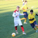 Nogomet 2 AL : Primorje - Zarja