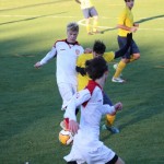 Nogomet 2 AL : Primorje - Zarja