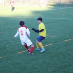 Nogomet 2 AL : Primorje - Zarja