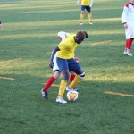 Nogomet 2 AL : Primorje - Zarja