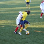 Nogomet 2 AL : Primorje - Zarja