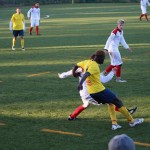 Nogomet 2 AL : Primorje - Zarja