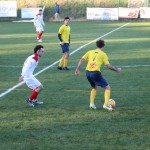 Nogomet 2 AL : Primorje - Zarja