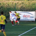 Nogomet 2 AL : Primorje - Zarja