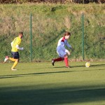 Nogomet 2 AL : Primorje - Zarja