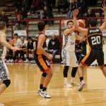 Košarka B liga : Jadran Gostol : Virtus Murano