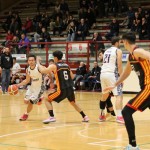 Košarka B liga : Jadran Gostol : Virtus Murano