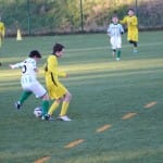 Nogomet : Božični turnir U 12
