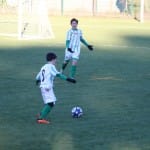 Nogomet : Božični turnir U 12