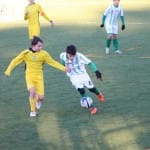 Nogomet : Božični turnir U 12