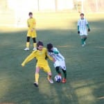 Nogomet : Božični turnir U 12