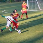Nogomet : Božični turnir U 12