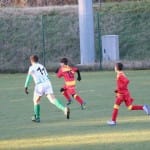 Nogomet : Božični turnir U 12