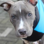 Elitna liga : Juventina - Zaule Rabuiese