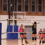 D-liga: Mavrica Mucci - Virtus Roveredo