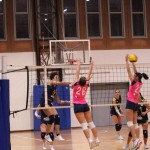 D-liga: Mavrica Mucci - Virtus Roveredo