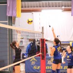 U16: Soča - Olympia