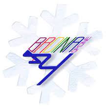 brdina logo