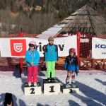 Primoski smučarski pokal