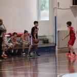 Košarka u 14 : Kontovel - Terzo