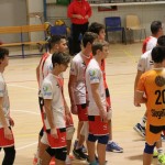 M.odbojka D liga : Sloga Tabor - Travesio
