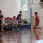 Košarka u 14 : Kontovel - Terzo