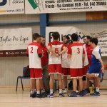 M.odbojka D liga : Sloga Tabor - Travesio