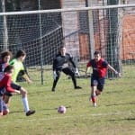 Nogomet 2.AL : Primorec  - Gradisca