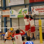 M.odbojka D liga : Sloga Tabor - Travesio